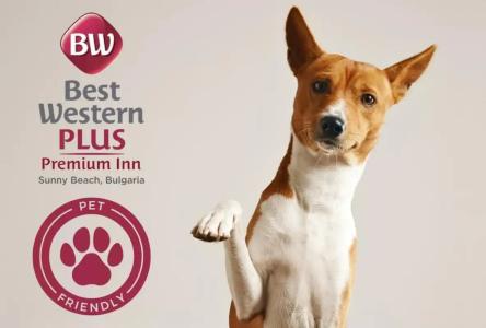 Best Western PLUS Premium Inn - 55