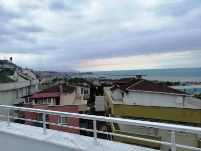 Alya Suite - 27