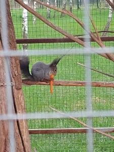 La Ferme de Reve - 78