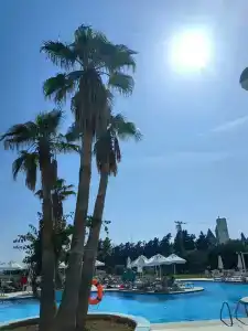 Asteria Bloom Side - 45