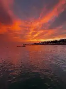 Papillon Ayscha Resort & Spa - All Inclusive Resort - 37