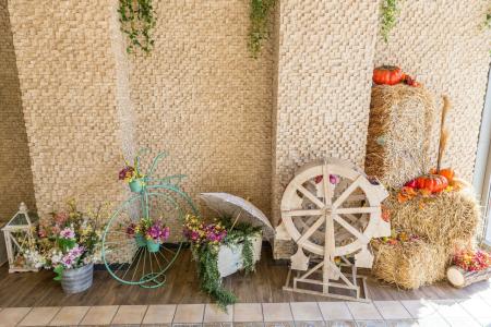 Cosmopolitan & Wellness - 36