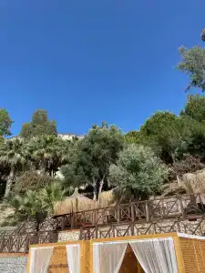 Ladonias Adakule	 - 58