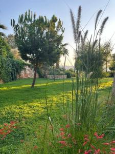 Selectum Luxury Door'a - 43