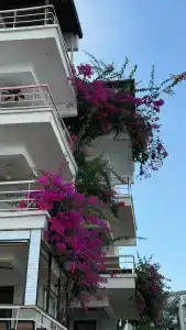 MARMARIS BEGONVILLE BEACH+16 ADULT ONLY - 39