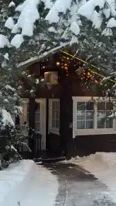 FishPoint Family Resort (Zolotoy Sazan) - 1