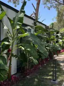 Club Marco Polo - Premium All Inclusive - 90