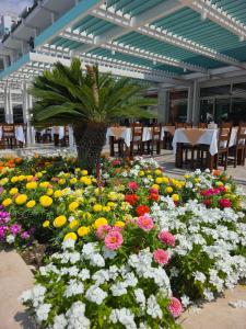Zena Resort - 28