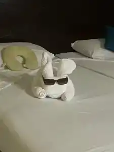 Cataract Resort Naama Bay - 42