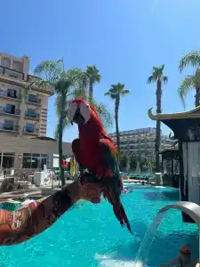 Crystal Family Resort & Spa - Ultimate All Inclusive - 37