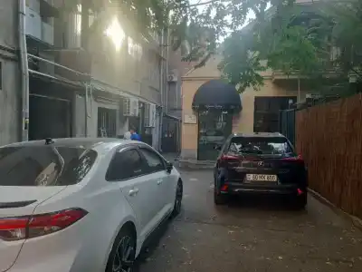 Elysium Gallery - 17