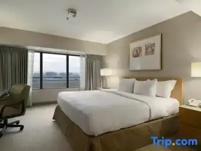 Hilton Los Angeles Airport - 54