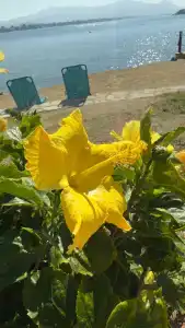 Yasmin Bodrum Resort - 22