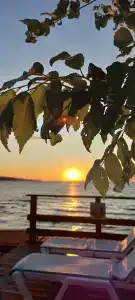 Ambassador - 46