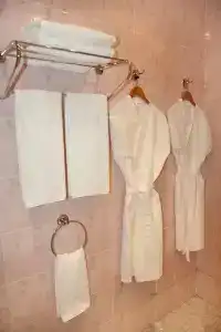 Aleksandrovsky Park - 9