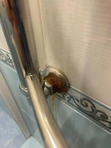 Chetyire Sezona - 28