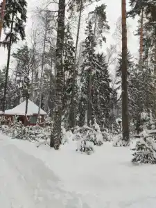 Neptun Tourist base - 11