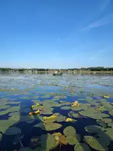 Резиденция 888 - 21