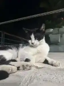 Antique Roman Palace - 93