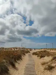 ЛетоoтеЛь - 53