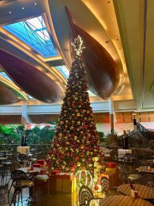 Grand Hyatt Dubai - 6