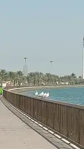 Copthorne Sharjah - 80