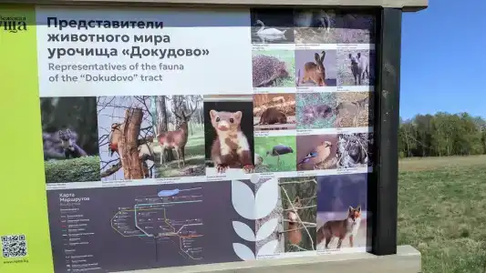 Complex Kamenyuky - 51