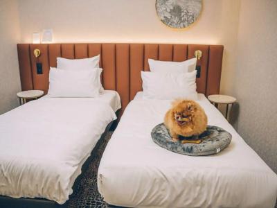 Mercure Bialystok - 19