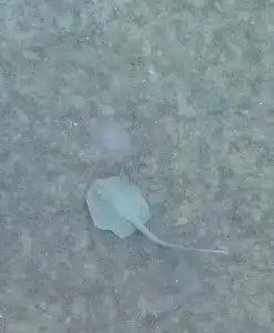 Sunrise Alma Bay Resort - 41