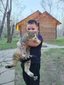 Baza Otdyha Lesnaya - 94