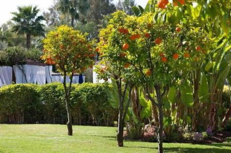 Le Meridien N'fis - 14