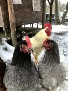 Ethno-Usadba Tourist base - 39