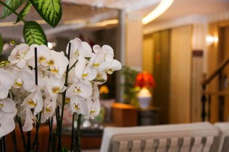 Almina Guest House - 31