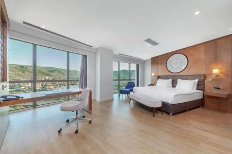 Dedeman Tokat - 21