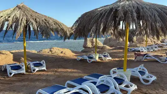 Sharm Club Beach Resort - 36