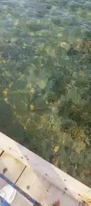 Pharaoh Azur Resort - 45