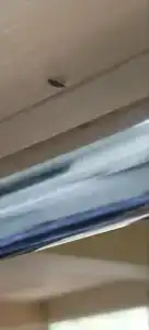 Samsonov Mini-on Stachek Avenue - 32