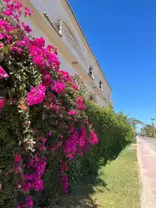 Blend Club Aqua Resort - 5