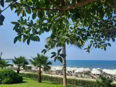 Horus Paradise Resort - Ultra All Inclusive - 87