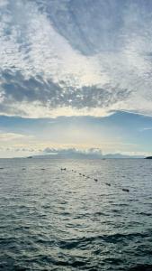 Azure By Yelken - 35