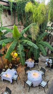 Tuvana - 23