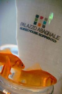 Palazzo Tritone & Abagnale - 21