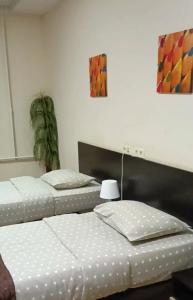 Tipichnyy Piter - 49