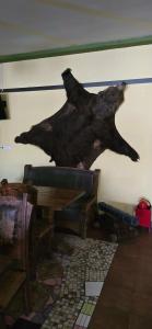 Dom Uchenykh Netr.p. Rzhavki Gostinitsa - 38