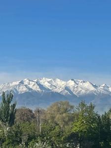 Art Bishkek - 1