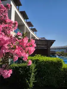 Tui Magic Life Jacaranda - 9