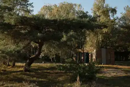 Baltiyskie Holmy - 94