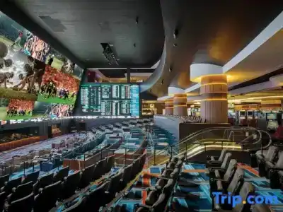 Circa Resort & Casino - Adults Only - 90