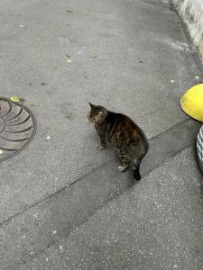 Арт Авеню - 44