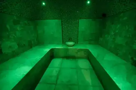 Best Western Plus - 18